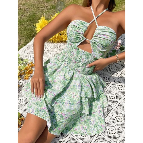 Alizey Floral Print Shirred Waist Cut Out Tie Backless Layered Hem Halter Dress - Picture 5 of 7